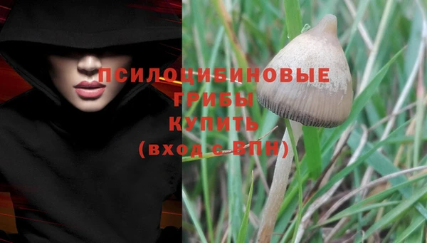 герыч Алексин