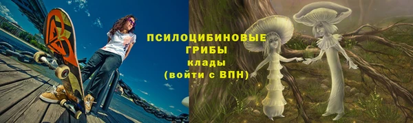 гашик Нефтегорск
