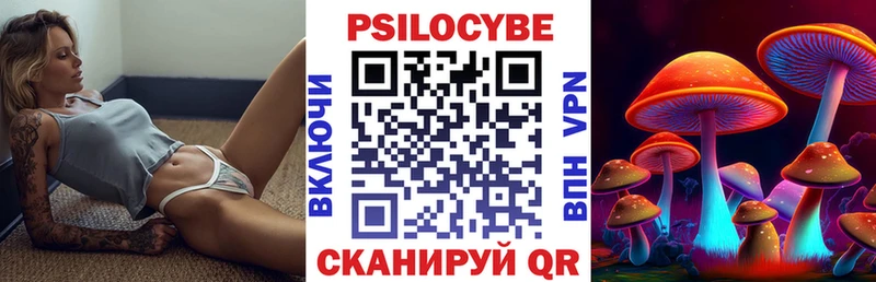 мега зеркало  Ахтубинск  Галлюциногенные грибы Psilocybine cubensis 