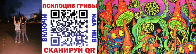 Псилоцибиновые грибы Psilocybine cubensis Ахтубинск